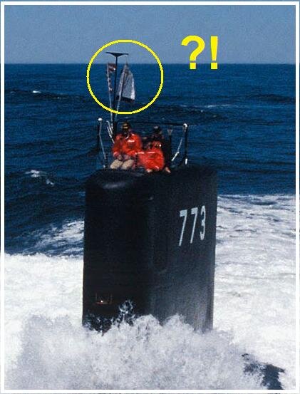 773.jpg