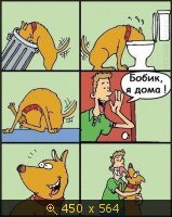 2651668.jpg