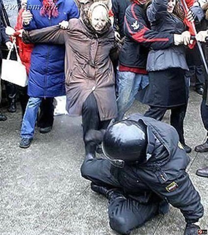 x_555b3bb4.jpg