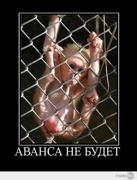 ebf343c88402c70c7f3e9b1e20671f92.jpg