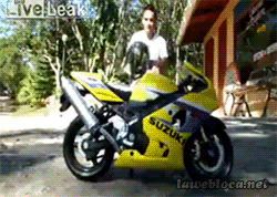 bb1a9d1f7056a3f3dbcee1cae27ef5a7.gif