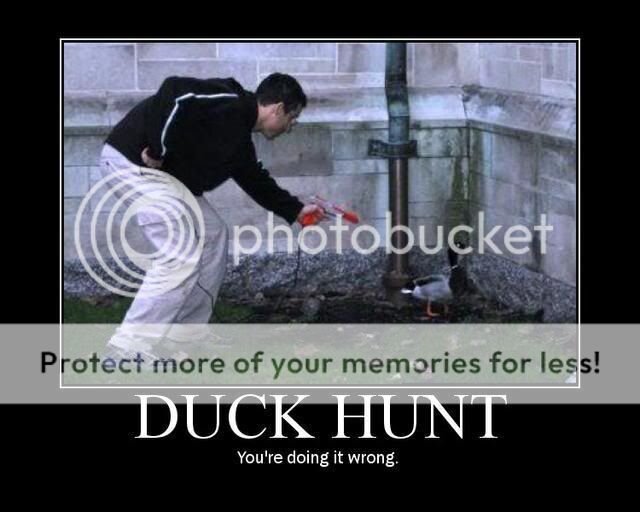 DuckHunt.jpg