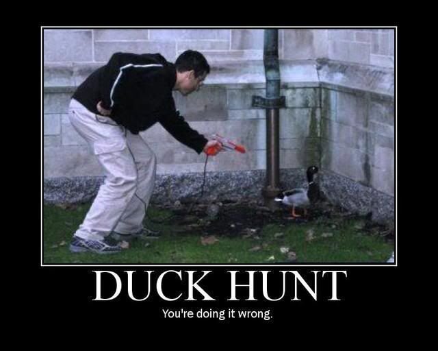 DuckHunt.jpg