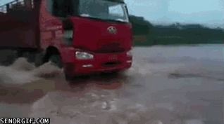 1550_original.gif
