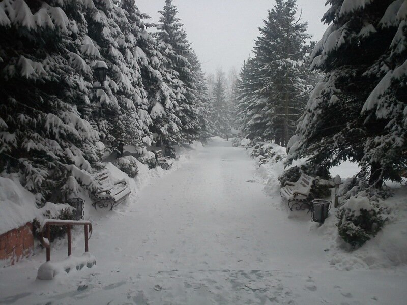 0_a58cc_a685c00f_XL.jpg.jpg