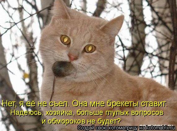0J.jpg