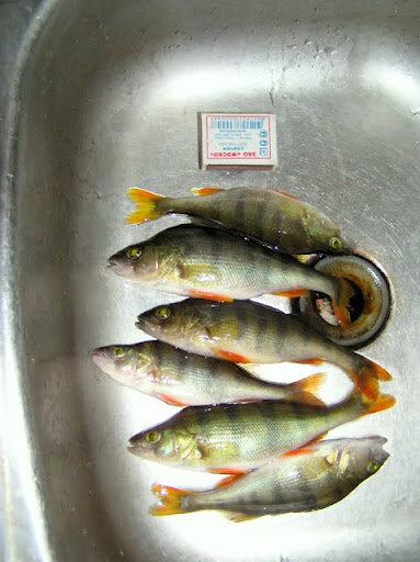 P1010002.JPG