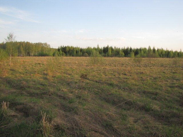 c7532443215c9f23ff2330ca838c7e10.jpg
