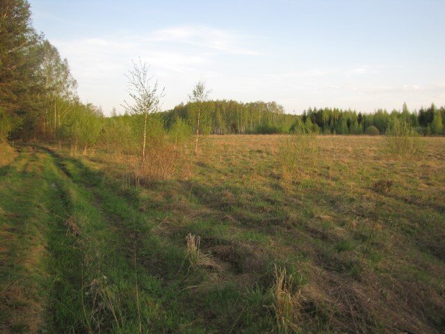 db5849972863b06bea794564cc4b400e.jpg