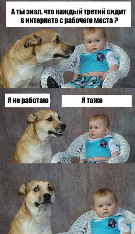 podborka_66.jpg