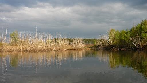 P1040775.JPG