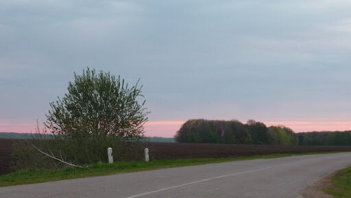 P1040766.JPG