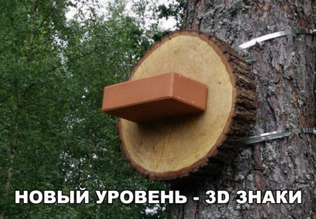10010491.jpg