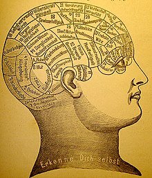 220px-Phrenology1.jpg